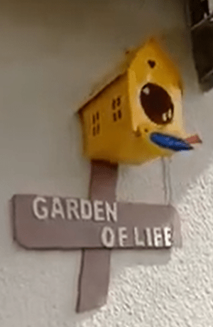 Project Green Balconies Retirement gift: Dr. Ranas’ Garden of&nbsp;Life